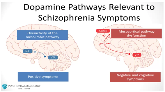 dopamine pathway