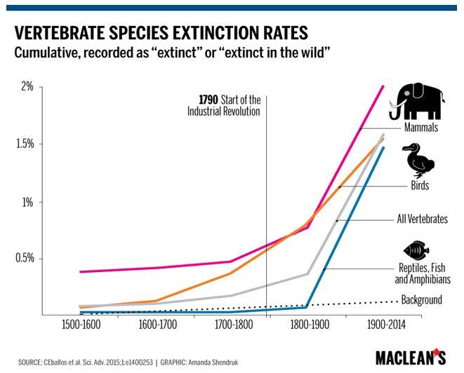 extinction-rates-small