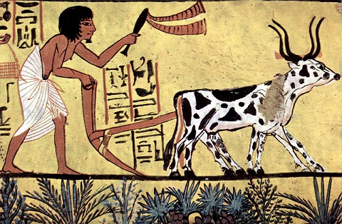 Agrikultur: Kesalahan Terbesar Manusia Sepanjang Sejarah? 62
