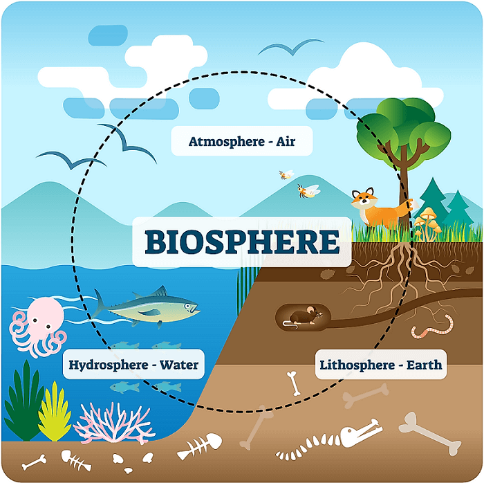 biosfer, atmosfer, litosfer, dan hidrosfer