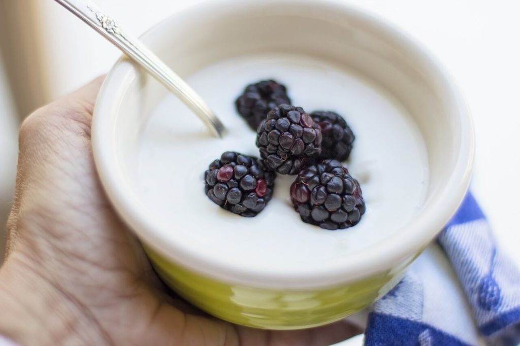pengertian yoghurt