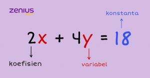 Unsur persamaan linear dua variabel