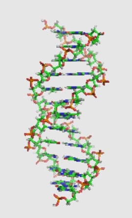 DNA Orbit
