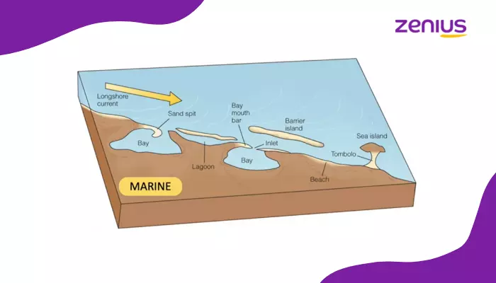 Jenis Sedimentasi Marine adalah