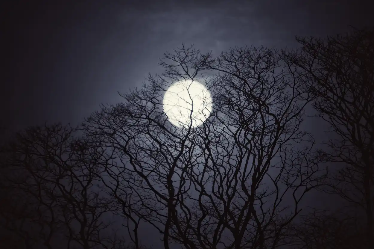  Ilustrasi Bulan di Malam Hari (dok: Pixabay oleh David_Miram) - materi pelajaran matematika kelas 4 sd