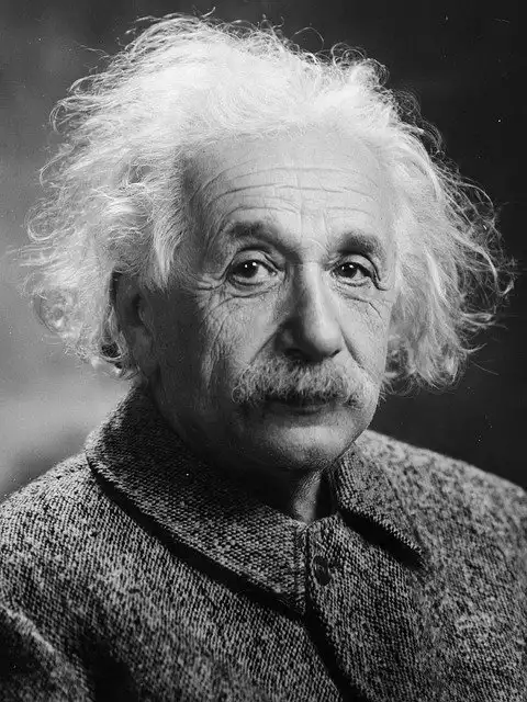 Potret Albert Einstein Zenius Education