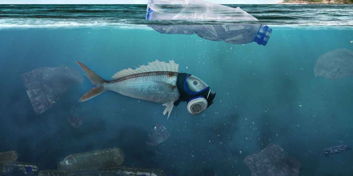 Dampak Sampah Plastik di Laut Hewan