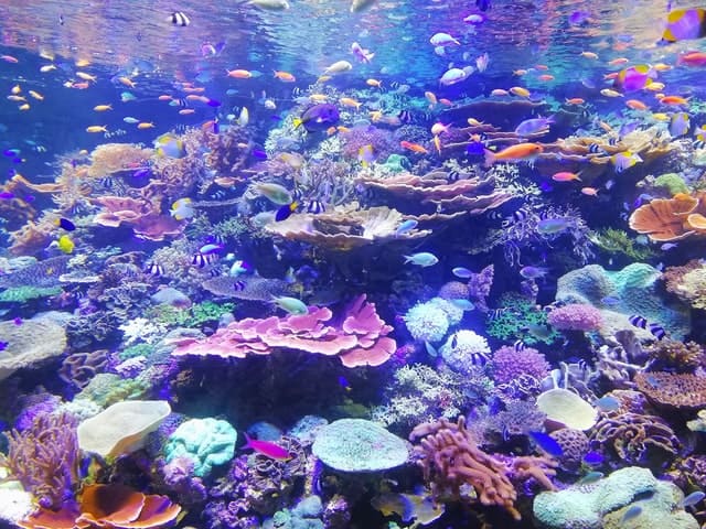 Ekosistem di bawah laut