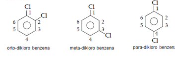 Contoh benzena disubstituen