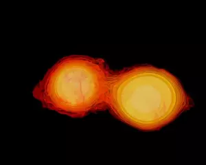Ilustrasi bintang berbentuk kacang (Dok. NASA via Public Domain)
