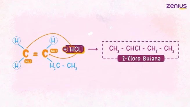 alkena diadisi dengan hidrogen halida menggunakan aturan markovnikov zenius education