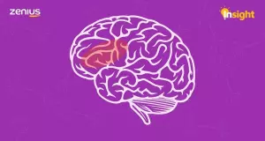 Ilustrasi inferior frontal gyrus (Arsip Zenius)