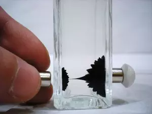 Ilustrasi cairan magnetik, ferrofluid (Nickynada via https://creativecommons.org/licenses/by/3.0)