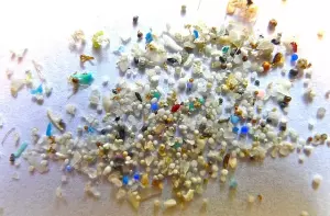 Ilustrasi mikro plastik (Dok. Oregon State University via https://creativecommons.org/licenses/by-sa/2.0)