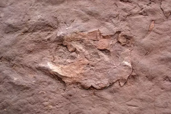 mesozoikum jurassic Jejak kaki theropoda di Batu Pasir Navajo