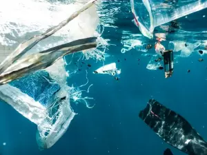 Ilustrasi sampah plastik yang membahayakan ikan di laut (Dok. Naja Bertolt Jensen via Unsplash)
