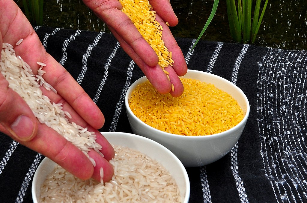 Nasi adalah salah satu sumber glukosa yang banyak dikonsumsi (dok. Wikimedia Commons)