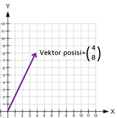 vektor posisi pada vektor dua dimensi zenius education