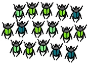 Dalam satu spesies ada kumbang berwarna hijau tua, hijau pinus, dan hijau muda