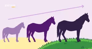 Evolusi kuda mengakibatkan pertambahan ukuran kuda.