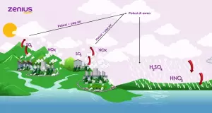 Hujan asam terjadi karena adanya polusi udara, sehingga hujan yang diturunkan pun mengandung polusi yang membuatnya jadi asam.