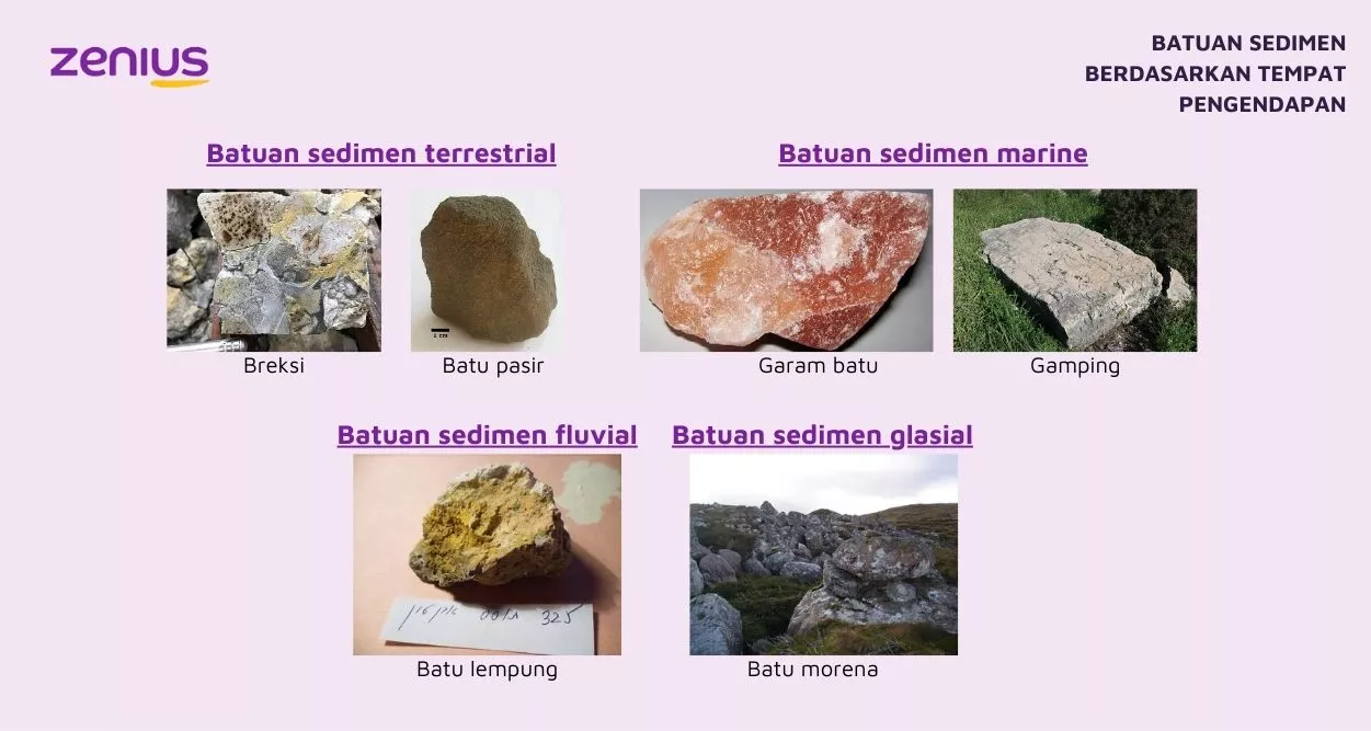Batuan Sedimen - Pengertian, Ciri, Klasifikasi, dan Contoh 88