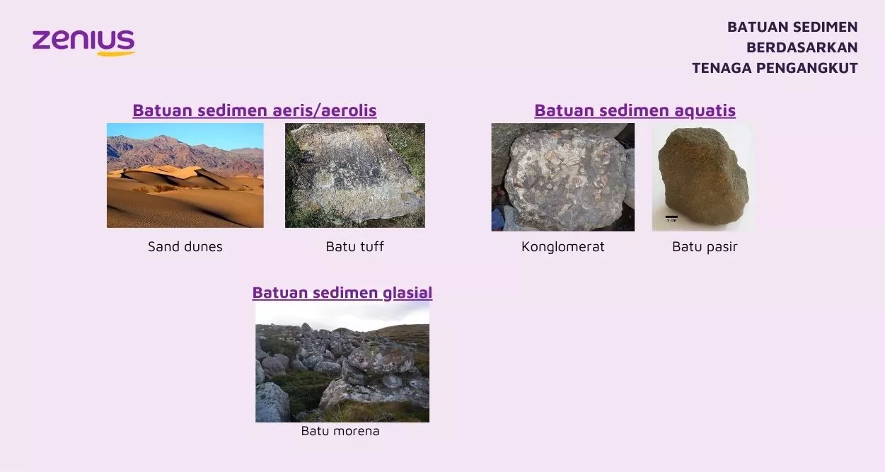 Batuan Sedimen - Pengertian, Ciri, Klasifikasi, dan Contoh 87