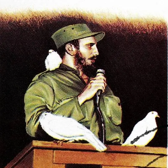Tokoh dalam Invasi Teluk Babi, Fidel Castro.