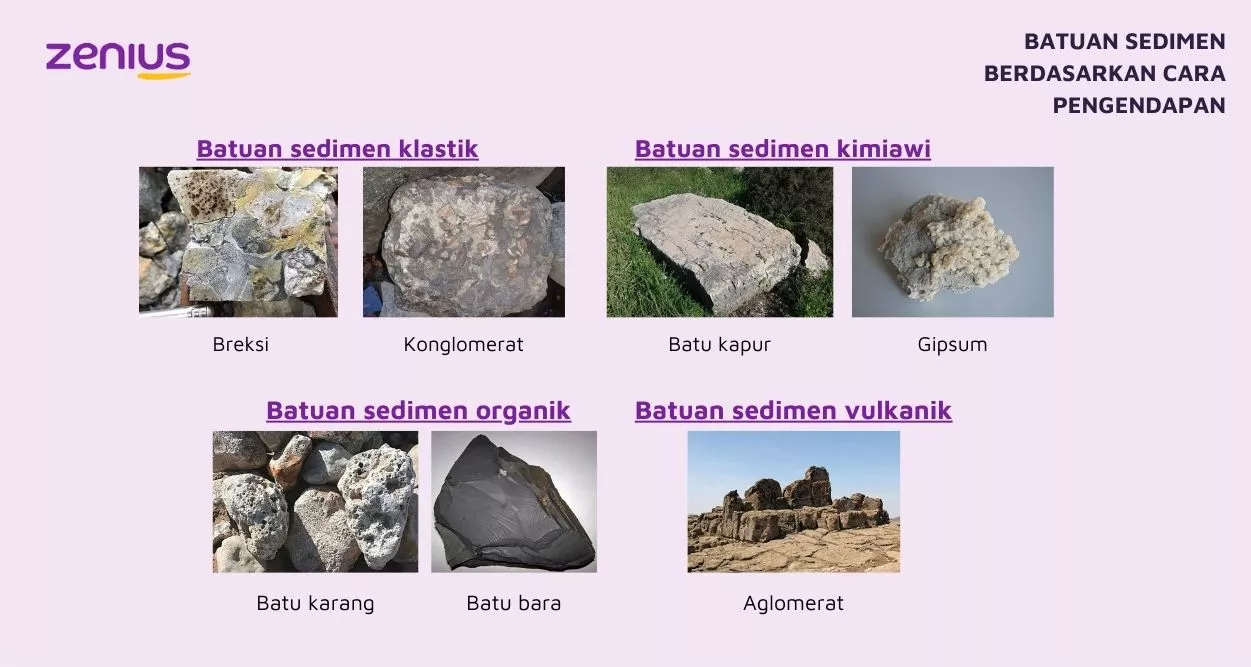 Batuan Sedimen - Pengertian, Ciri, Klasifikasi, dan Contoh 86