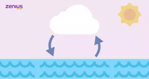 Uap air menjadi awan pada proses kondensasi.