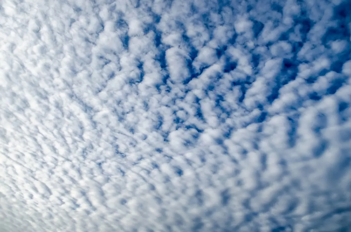 Gambar awan cirrocumulus.