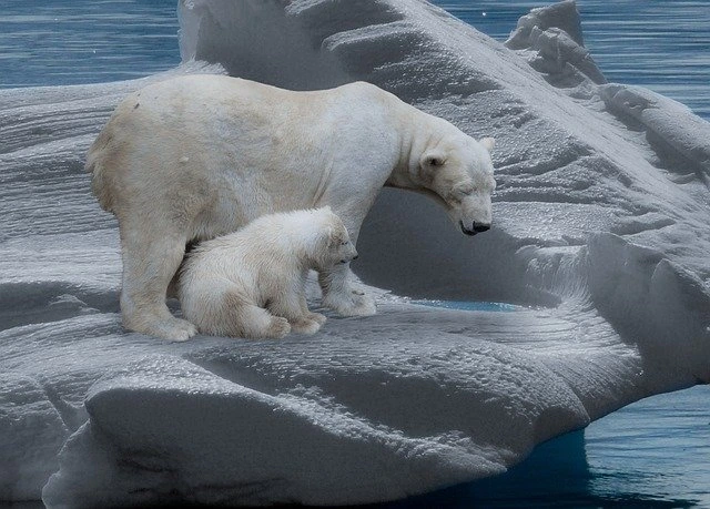 ilustrasi es di kutub mencair