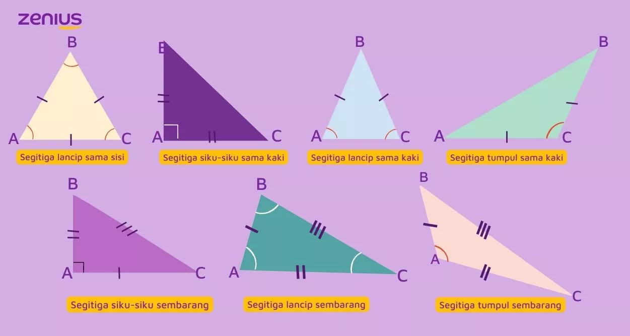 Jenis segitiga berdasarkan besar sisi dan sudutnya.