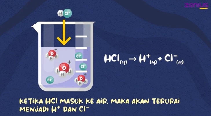 HCl merupakan asam kuat yang mengalami ionisasi sempurna menjadi H+ dan Cl-.