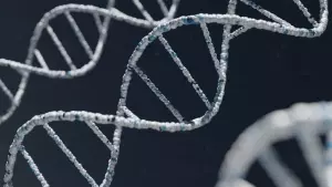 Struktur DNA berbentuk heliks, temuan Maurice Wilkins.