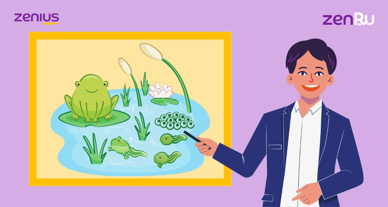 Model pembelajaran picture and picture dalam materi Biologi perkembangbiakan katak.