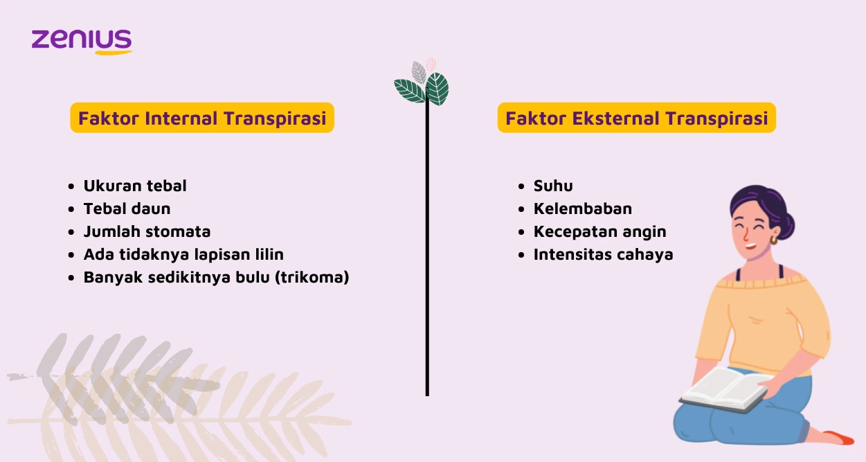Ada beberapa faktor internal dan eksternal yang mempengaruhi transpirasi tumbuhan.
