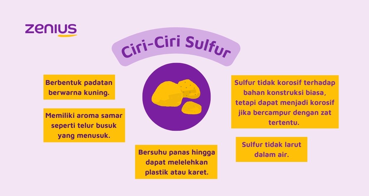 Infografis Ciri-Ciri Sulfur (Arsip Zenius)