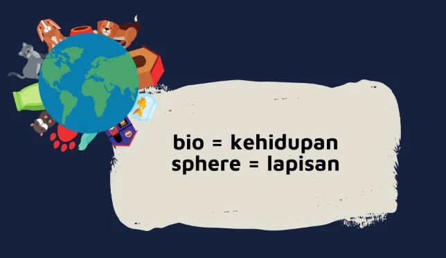 Ilustrasi pengertian apa itu biosfer dilihat dari kata “bio” dan “sphere”.