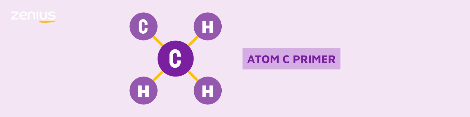 Atom C primer berarti suatu atom karbon hanya mengikat satu atom karbon lainnya