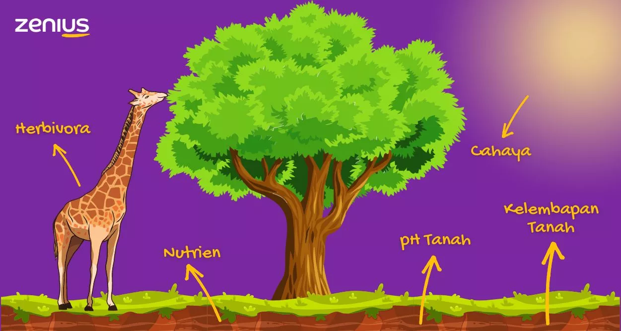 Faktor eksternal dari pertumbuhan dan perkembangan tumbuhan terdiri dari 7 macam.