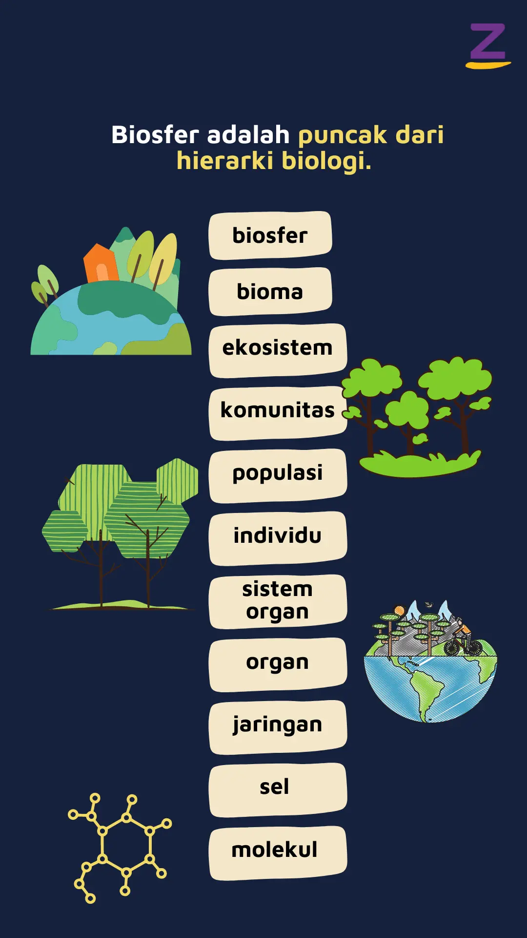 Ilustrasi hierarki biologi: organisme/individu, populasi, komunitas, ekosistem, bioma, dan paling tinggi biosfer.