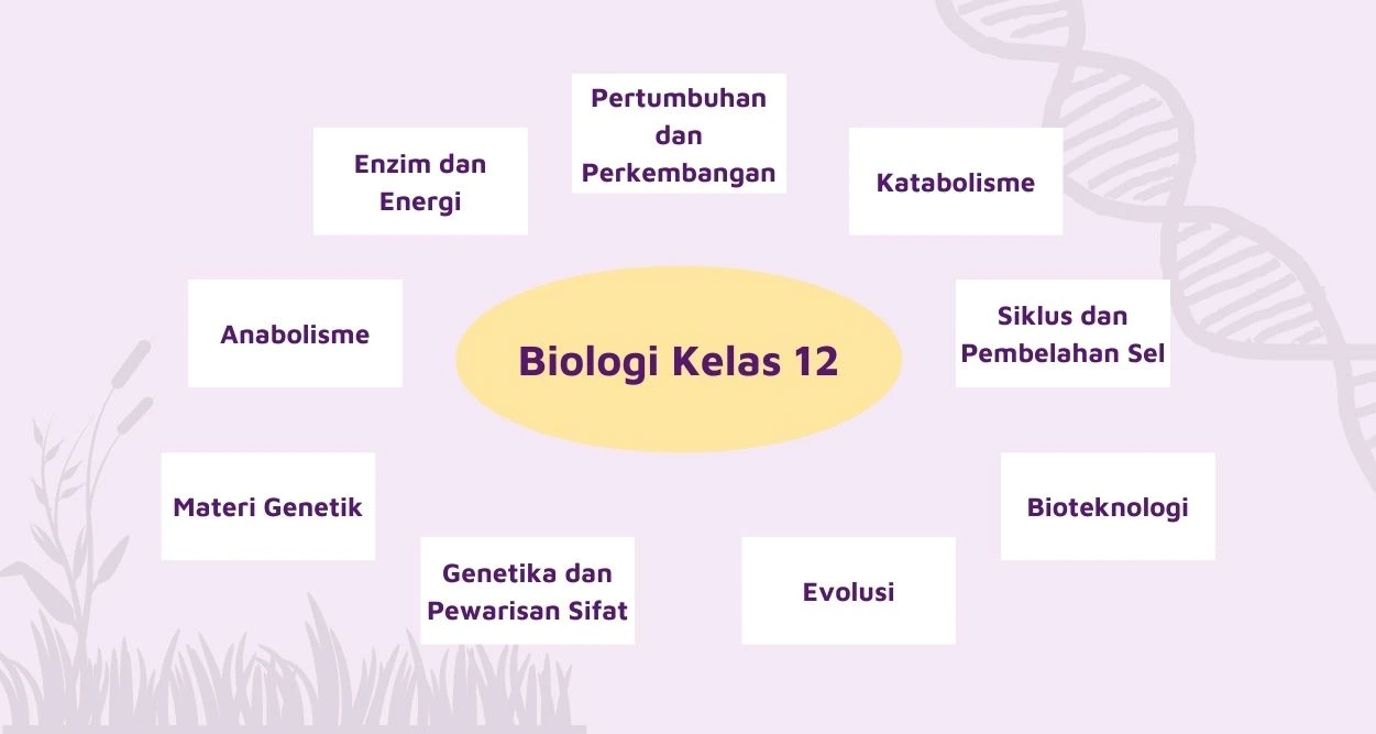 Topik pelajaran materi Biologi kelas 12.