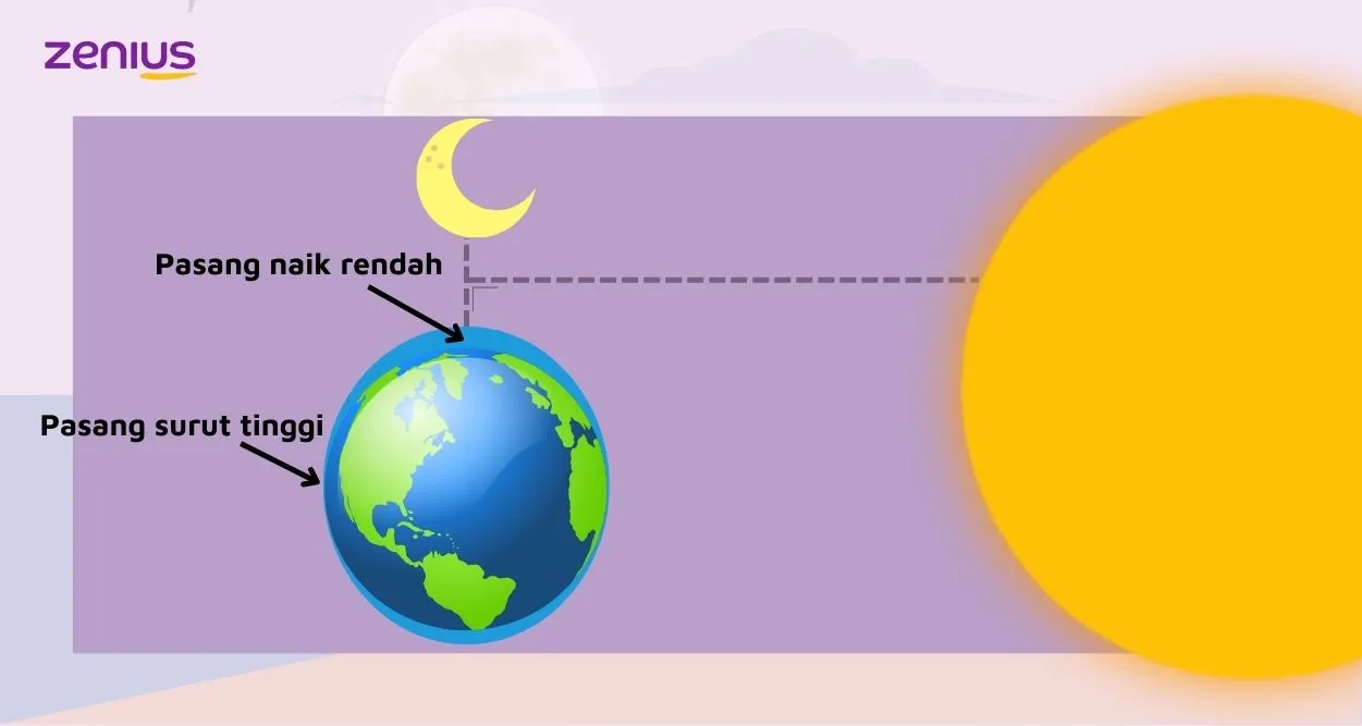 Pasang perbani terjadi ketika bulan, bumi, dan matahari terletak saling tegak lurus atau 90 derajat.