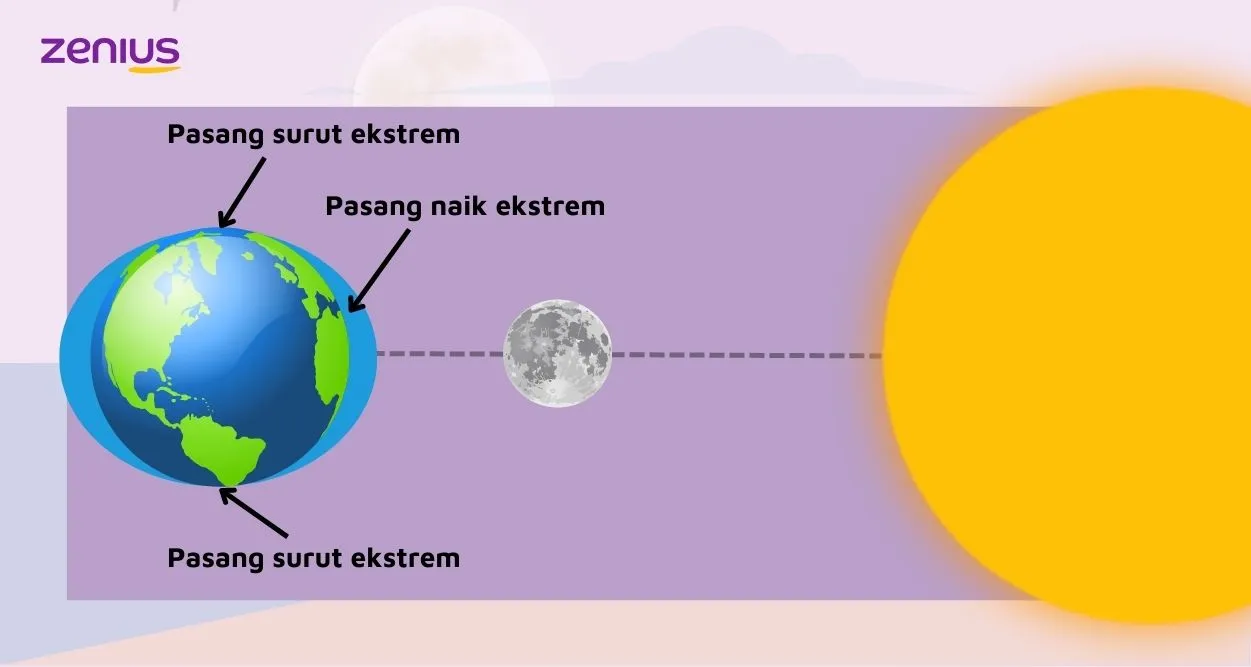 Pasang purnama terjadi ketika bumi, bulan, dan matahari terletak sejajar 180 derajat.
