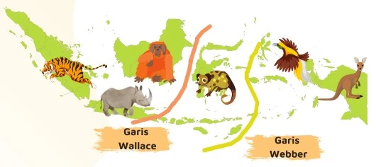 Peta persebaran fauna di Indonesia beserta contohnya.