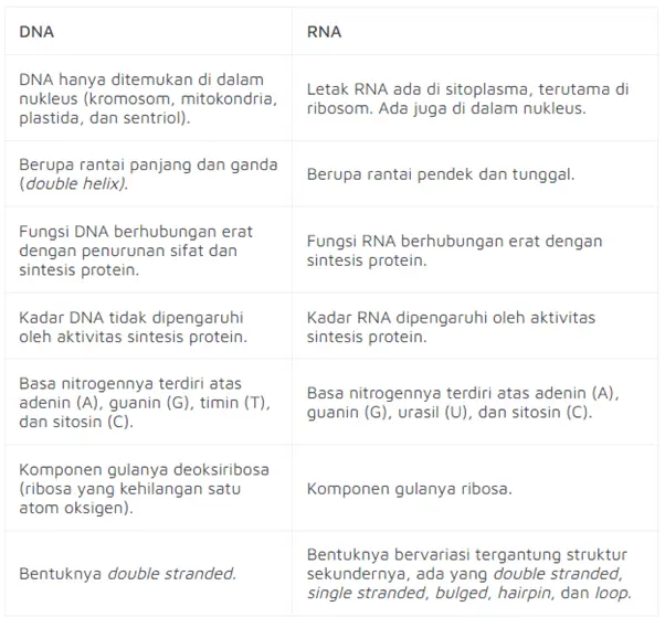 perbedaan RNA dan DNA