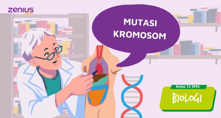 Mutasi Kromosom - Biologi SMA Kelas 12 18